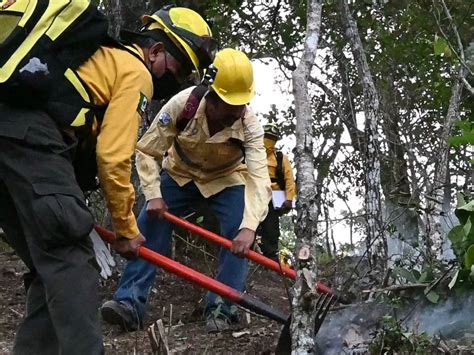 Reconocen Labor De Combatientes De Incendios Forestales En Anp De Chiapas Mx