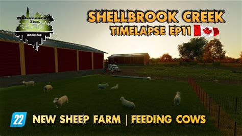 SHELLBROOK CREEK SK EP11 TIMELAPSE SHEEP FARM FS22 FARMING