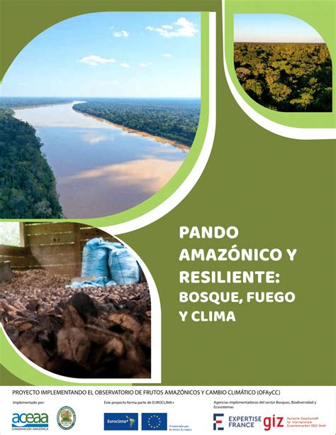 Pdf Pando Amaz Nico Y Resiliente Bosque Fuego Y Clima