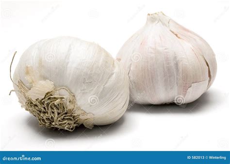 Garlic Bulbs stock image. Image of ingredient, cooking - 582013