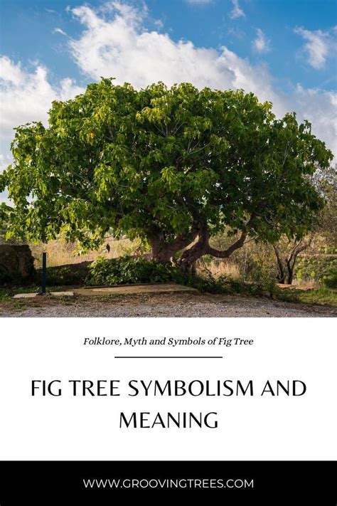 The alder tree symbolism and meaning – Artofit