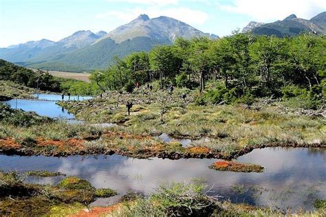 Tripadvisor Nationaal Park Tierra Del Fuego Met Lapataia Bay Vanuit Ushuaia Aangeboden Door