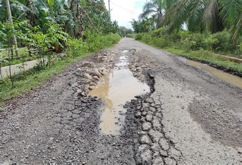 Warga Protes Jalan Rusak Akibat Truk Sawit PTPN I Kebun Lama Metro