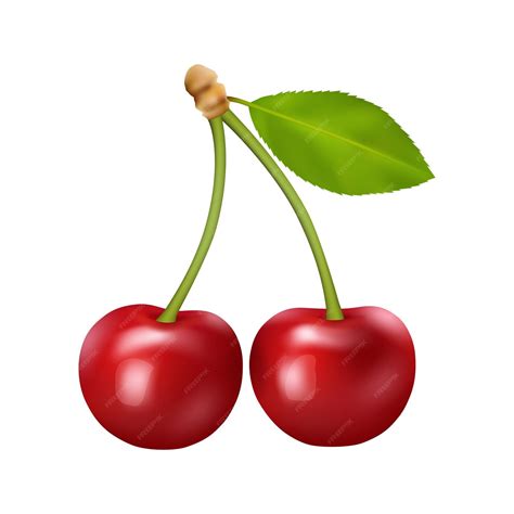 Premium Vector Red Cherry Berries With Leaf Ripe Fruits