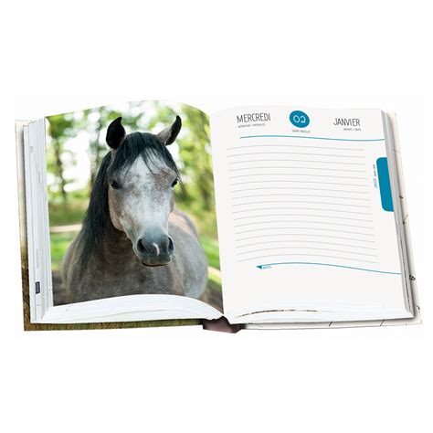 Agenda Scolaire Oberthur Cheval Plume Chez Rentreediscount