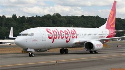 Spicejet Aircraft Catches Fire At Delhi Airport During Maintenance Work