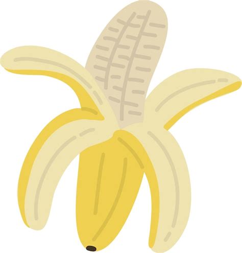 Plátano de frutas estilo dibujado a mano Vector Premium