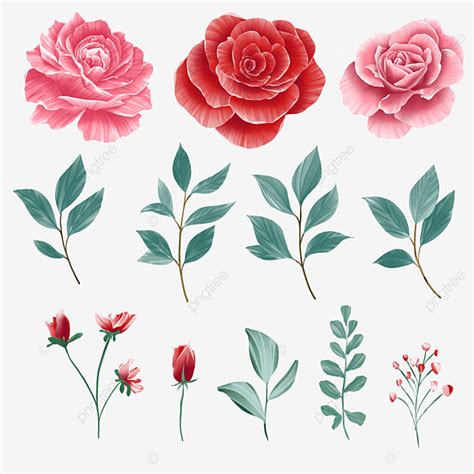 Red Rose Watercolor Hd Transparent Illustration Of Red Roses And