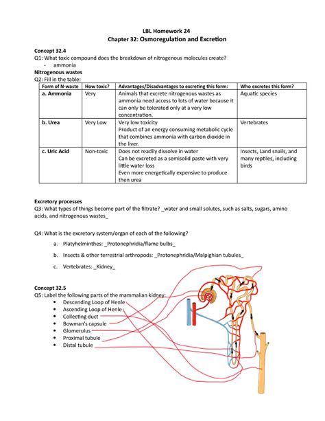 LBL24 Osmo Excretion Professor Micheal Jorgensen LBL Homework 24