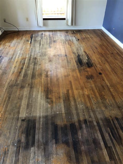 Do My Floors Have Pet Damage Or Water Damage The Hardwood Flooring