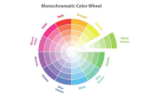 Monochromatic Color Wheel Color Scheme Theory Isolated Stock Vector