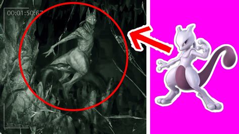 5 POKEMON Reales Captados En Camara YouTube