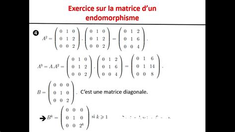 Exercice Sur La Matrice D Un Endomorphisme F Calcul Du Rang De F Et