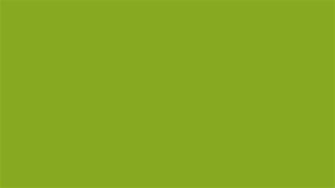 Avocado Green Solid Color Background Image Free Image Generator