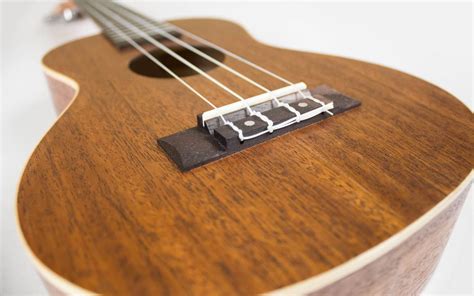 Beginners Guide To The Parts Of Ukulele Anatomy You Need To Know