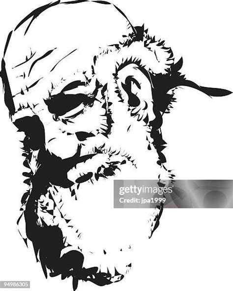 60 Homeless Black And White Cartoon Stock Photos, High-Res Pictures, and Images - Getty Images