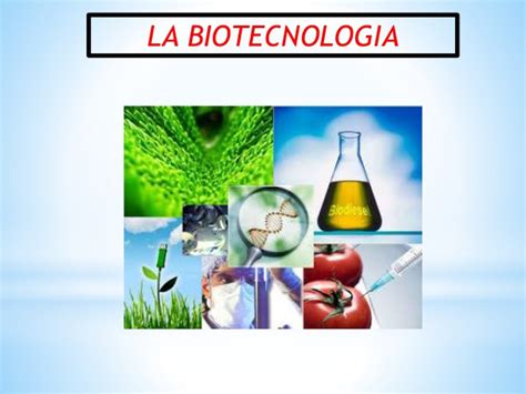 Clasificacion De La Biotecnologia