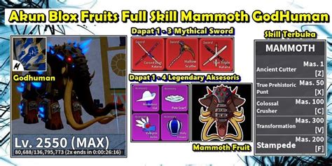 Buy Akun Akun Blox Fruits Level Max Full Skill Mammoth Fruit Mythical