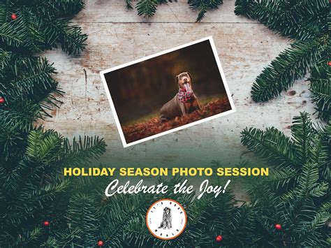 Holiday Season Dog Photography - Mini Session - Hillsborough, NJ Patch