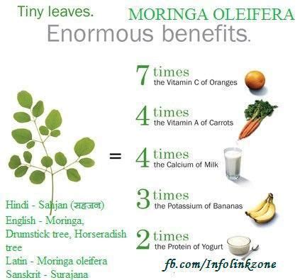 Moringa Juice Benefits In Hindi - health benefits