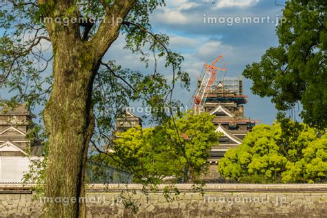 日本 熊本県熊本市、熊本城の修復中の天守閣の写真素材 184024236 イメージマート