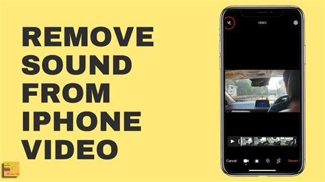 How To Remove Sound From Iphone Video Before Sharing It With Others