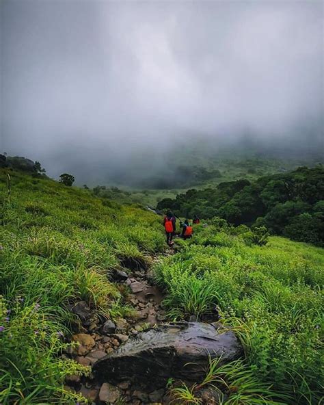 Tadiandamol Trek Is One Of The Most Beautiful Though Less Known Treks