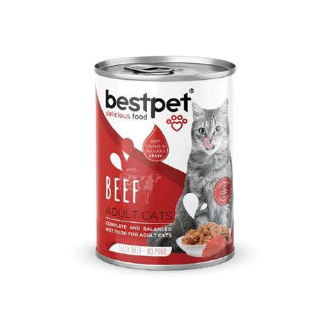 Buy Bestpet Wet Cat Food with Beef 400g | Pet City Shop