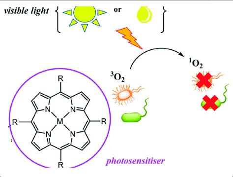 Production Of ROS By Porphyrins And Application In PACT The