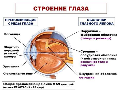 диоптрии линз что это такое