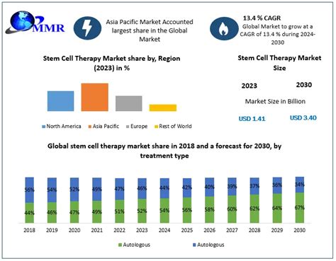 Stem Cell Therapy Market Industry Analysis And Forecast 2030