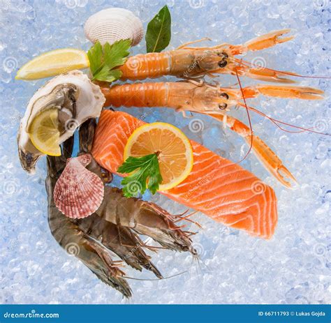 Fresh Seafood On Crushed Ice Stock Image Image Of Fresh Fishing