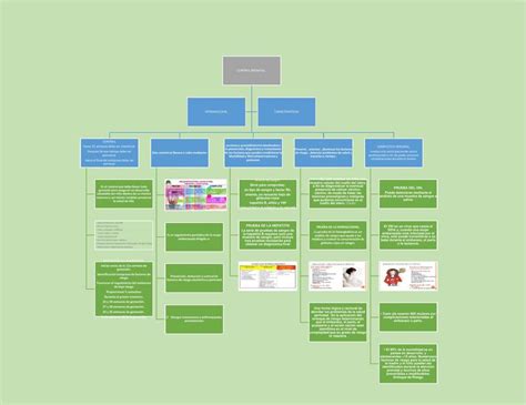 Mapa Conceptual De Control Prenatal Trabajo Udocz Porn Sex Picture