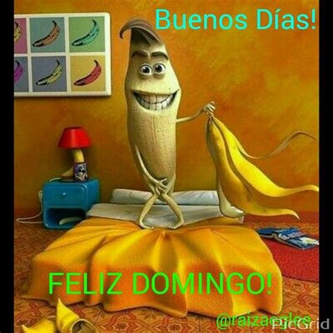 Feliz Y Bendecido Domingo Para Todos Buenos Dias Chistosos Fotos