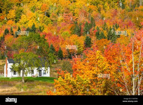 Fall colors at cape breton hi-res stock photography and images - Alamy