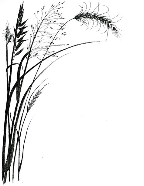 Grass Line Drawing - ClipArt Best