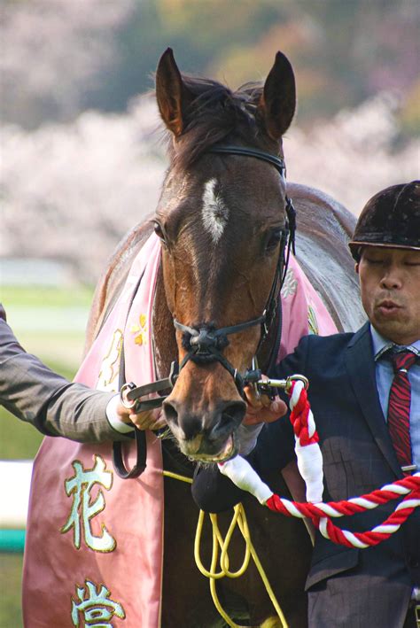 振り返ればではなく、その瞬間、信じて託す。グランアレグリアと私の桜花賞。 ウマフリ 競馬コラム＆ニュース