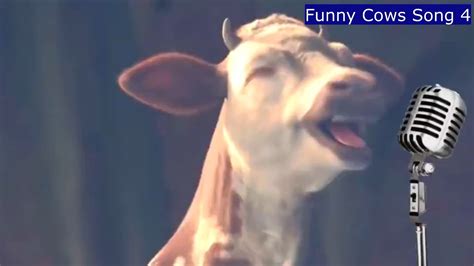 Funny Cow Dance 4 Cow Dance And Cow Music With Mooing Sounds Cow