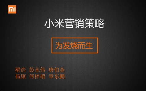 小米营销策略终word文档在线阅读与下载免费文档