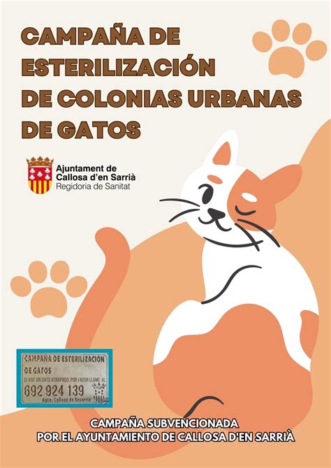 Campa A De Esterilizaci N De Gatos Ajuntament Callosa D En Sarri