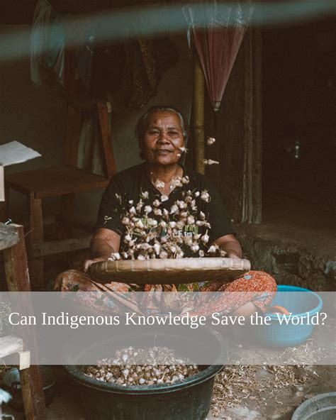 Can Indigenous Knowledge Save The World Sadhana Forest Sadhana Forest