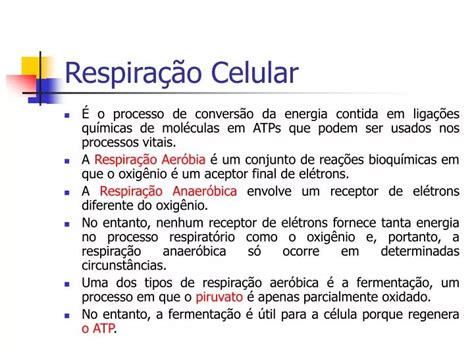 PPT Respiração Celular PowerPoint Presentation free download ID