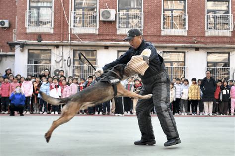 我为群众办实事 天津市公安局特警总队直属四支队与湘江道小学开展共建活动师生警犬进行了