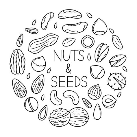 Hand Drawn Set Of Nuts And Seeds Doodle Almond Hazelnut Pistachio