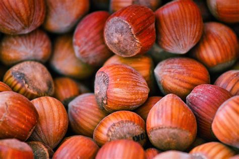 5000 Free Nuts And Walnuts Images Pixabay