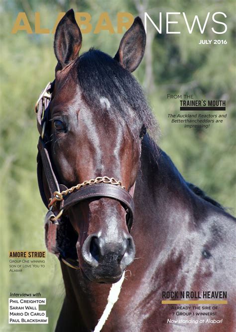 Alabar Newspaper 2016 by Alabar Bloodstock - Issuu