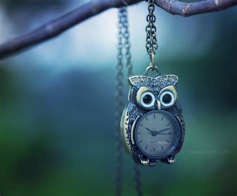 Night owl ... by aoao2 on DeviantArt