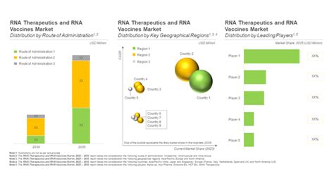 Next-Generation RNA Therapeutics and Vaccines Surge: 