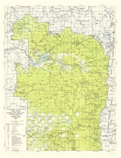 Topo Map Willamette National Forest Oregon Usda 1964 2300 X 30