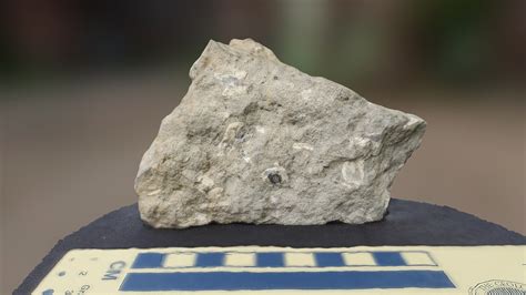 Porphyritic Andesite - Download Free 3D model by Marissa Dudek ...